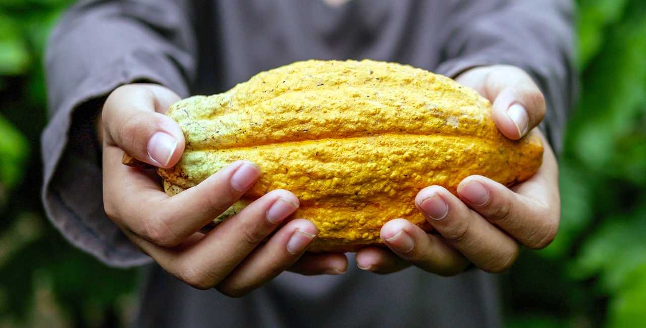 Ecuador registrará a más de 100.000 productores de cacao y café